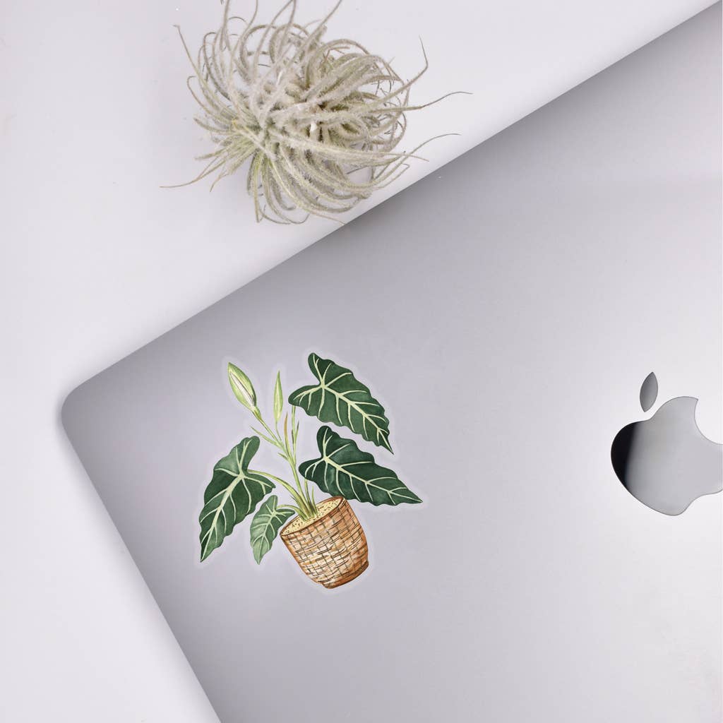 Alocasia Clear Sticker - House Plants Stickers