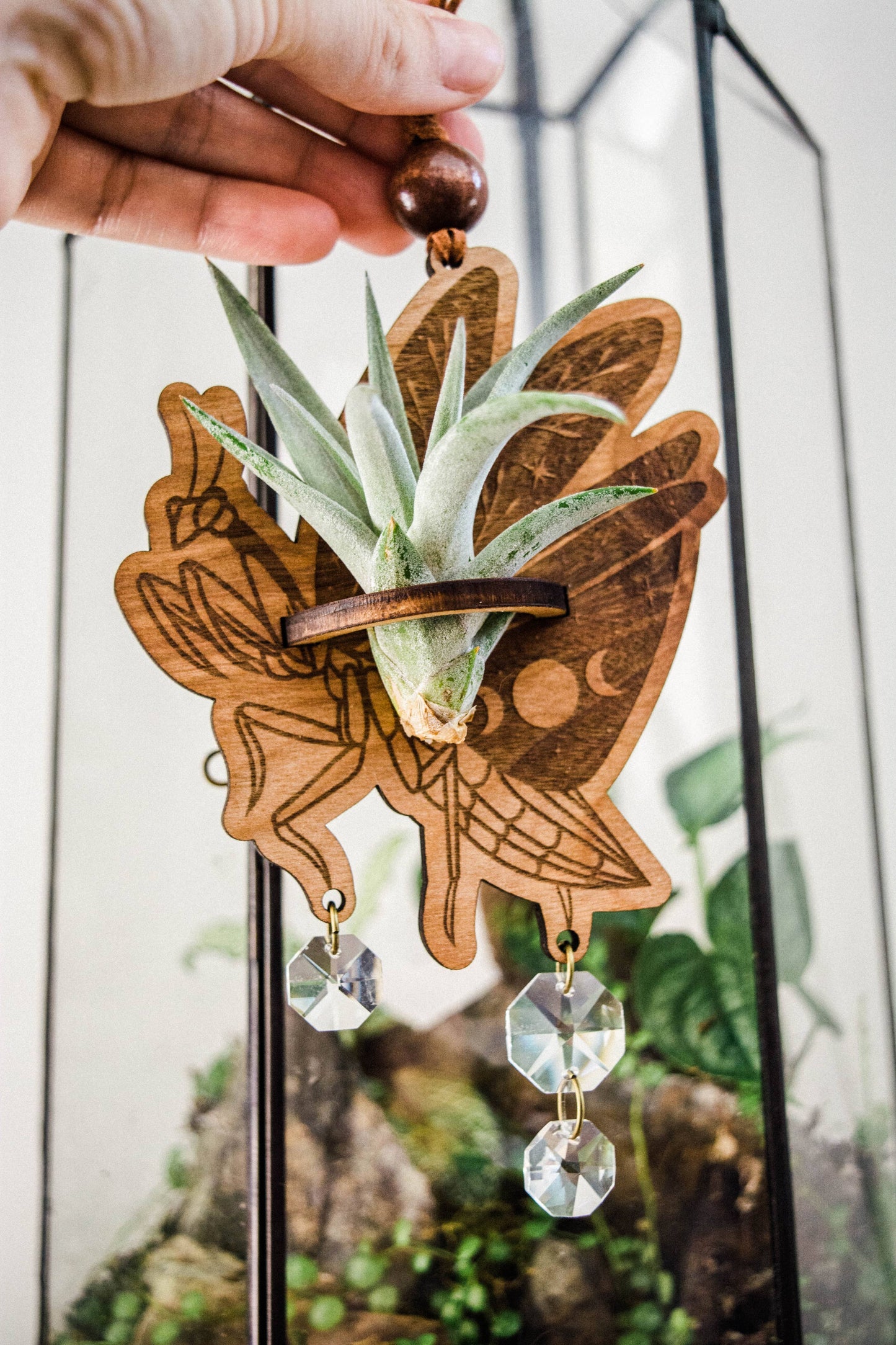 Praying Mantis Airplant Holder Hanging Mini Suncatcher : Without Airplant / Stained Black