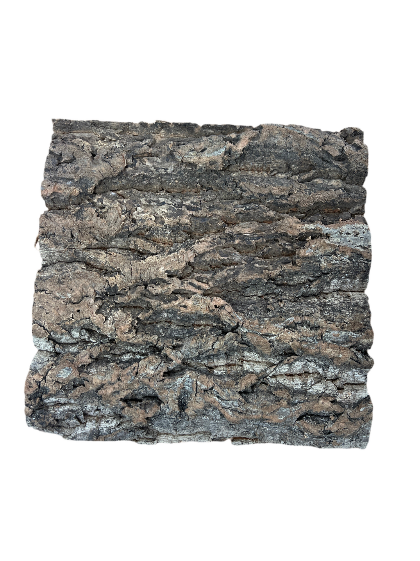 Square Cork Tile 11.5" x 11.5"