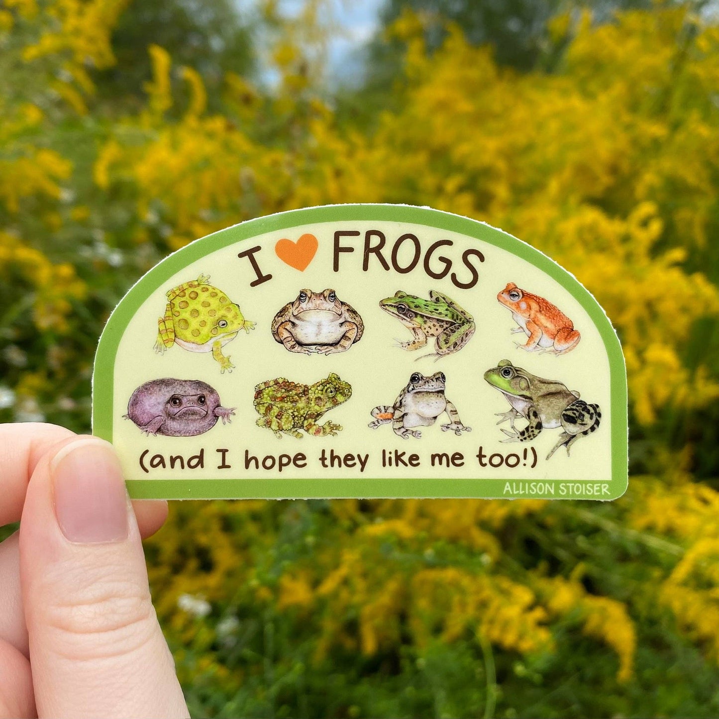 I ❤️ Frogs Weatherproof Vinyl Sticker
