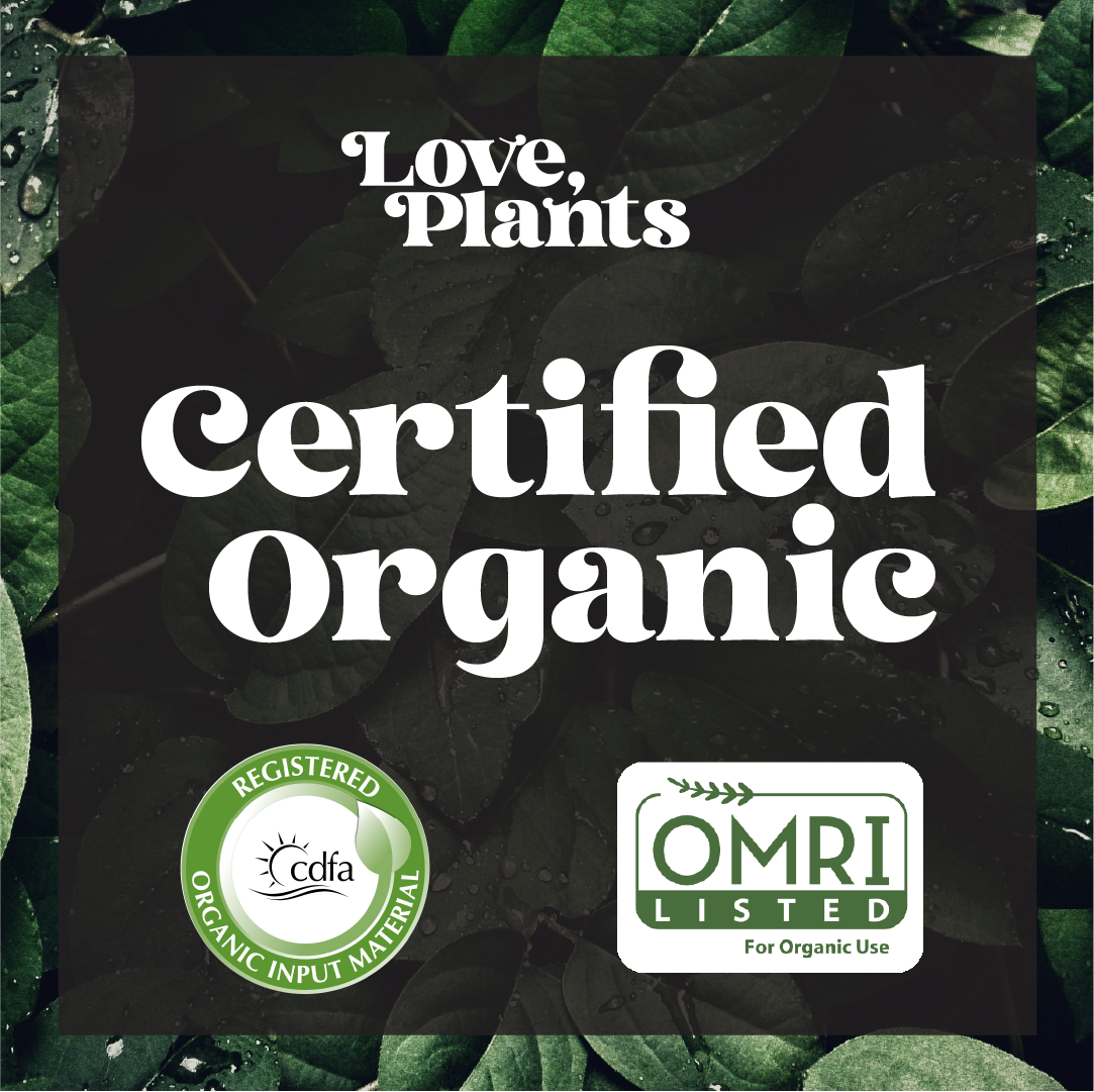 Houseplant Multivitamin - Houseplant Fertilizer