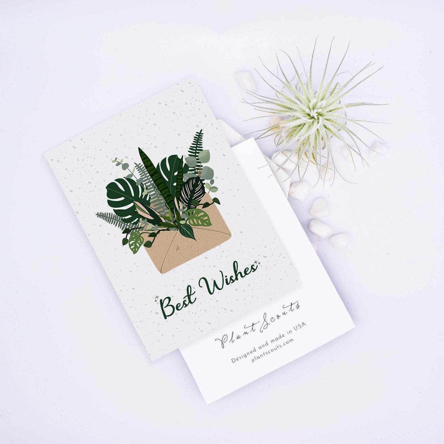 Best Wishes Holiday Card - Botanical Surprise