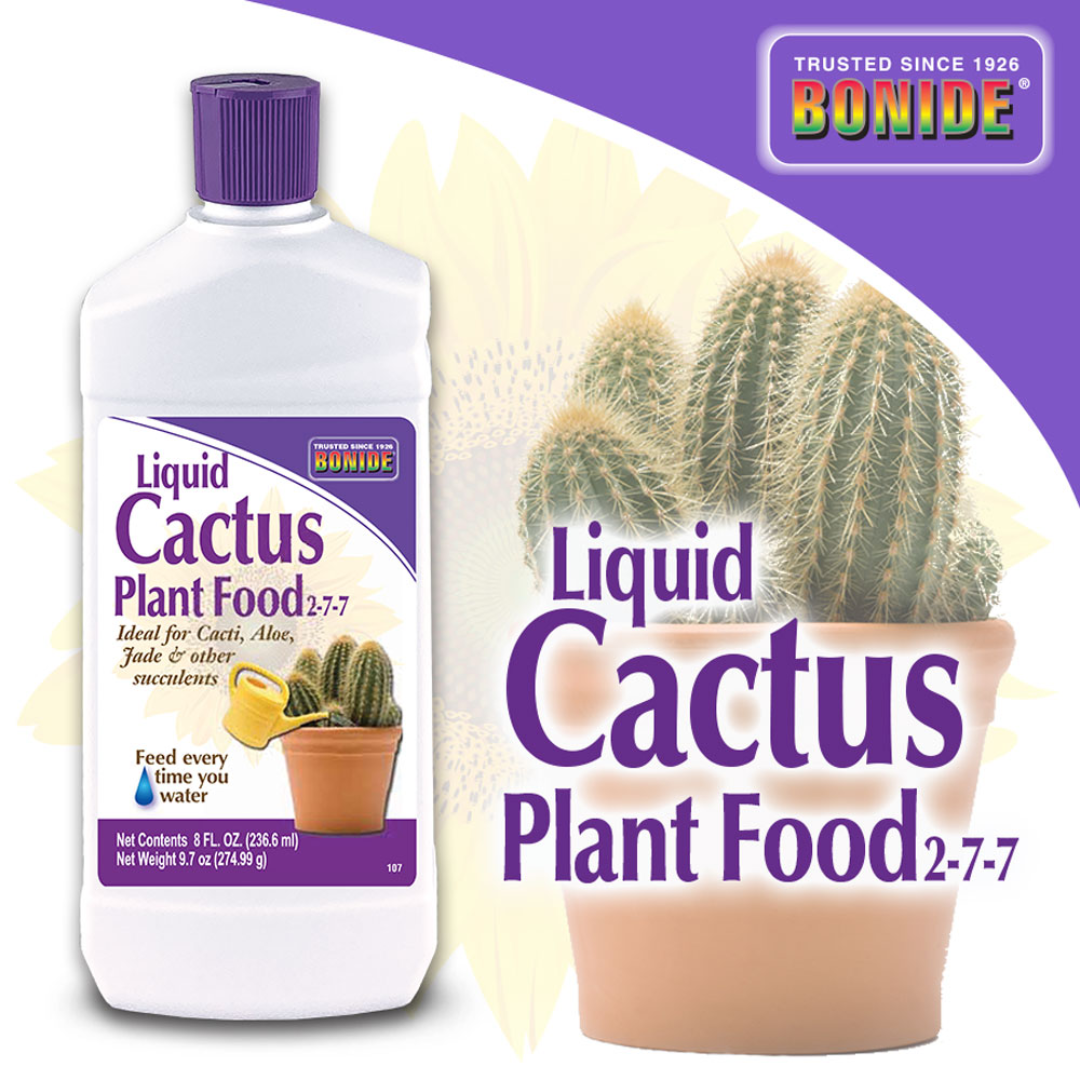 all purpose plant food for succulents Bonide Liquid Cactus Food (8 OZ)