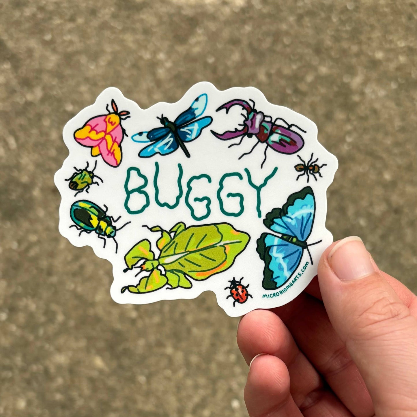 Buggy 3” Sticker