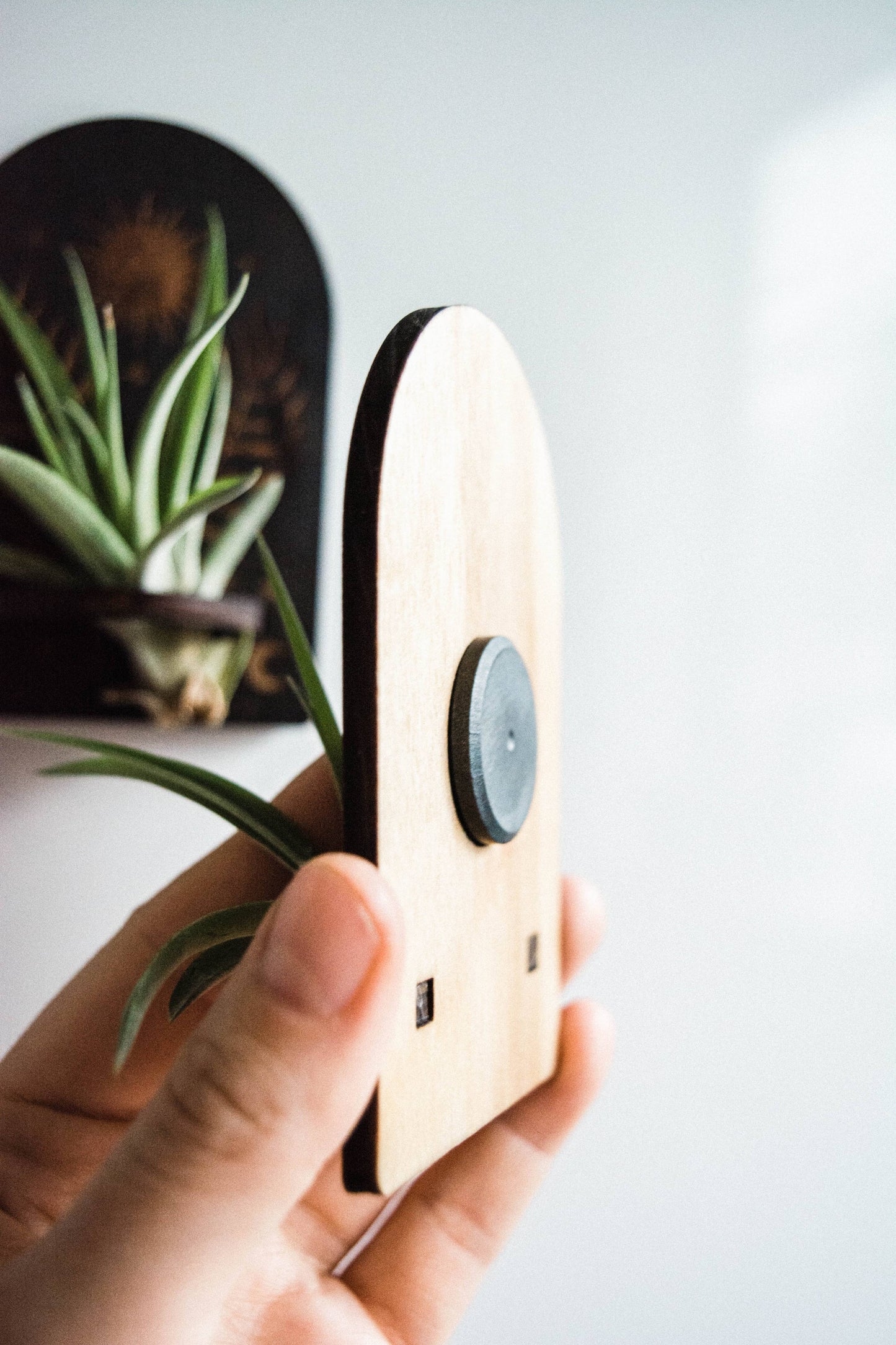 Sun, Moon, Stars & Ferns Wooden Airplant Holder Magnet: Without Airplant / Natural Wood