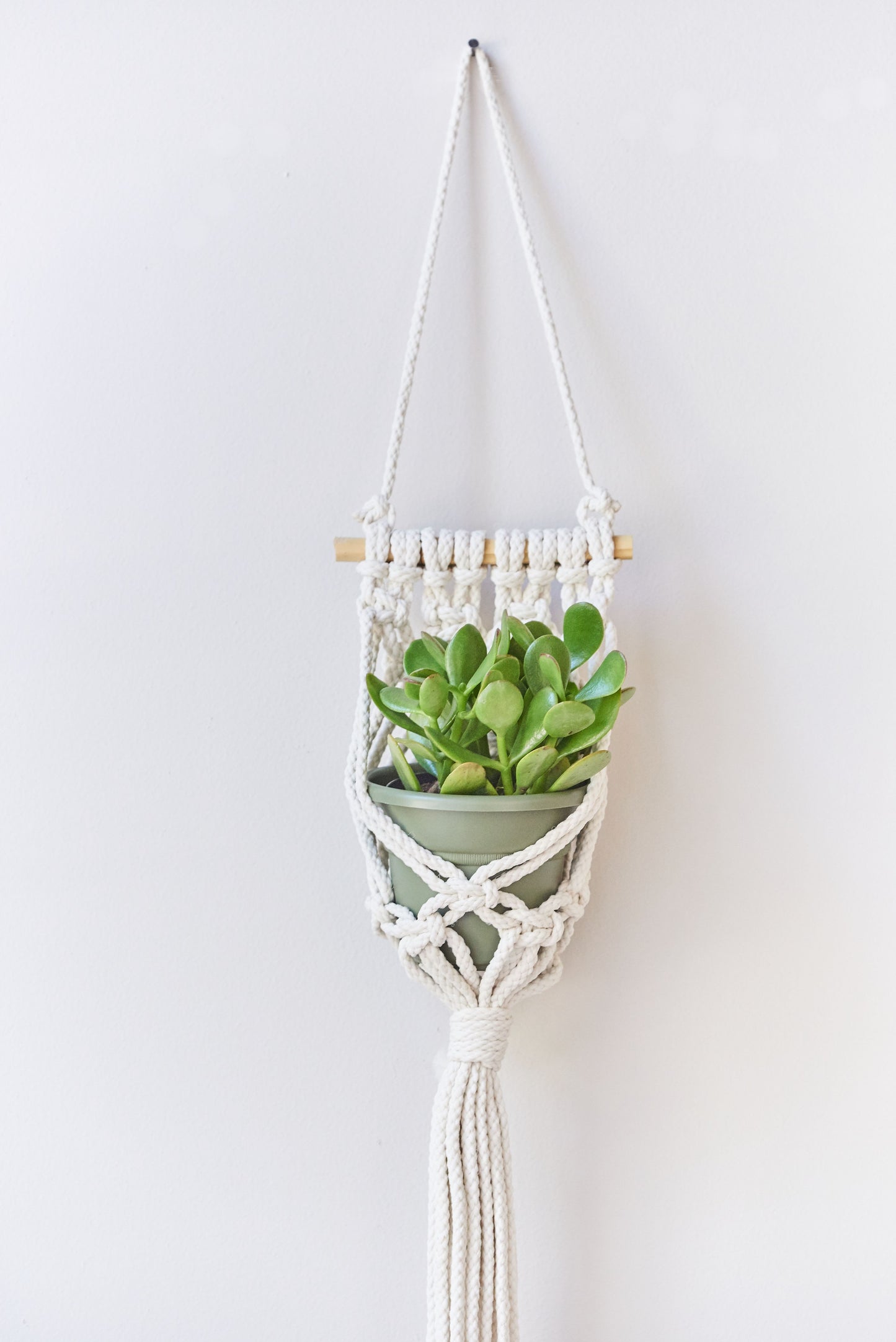 Small Wall Planter- Antique White