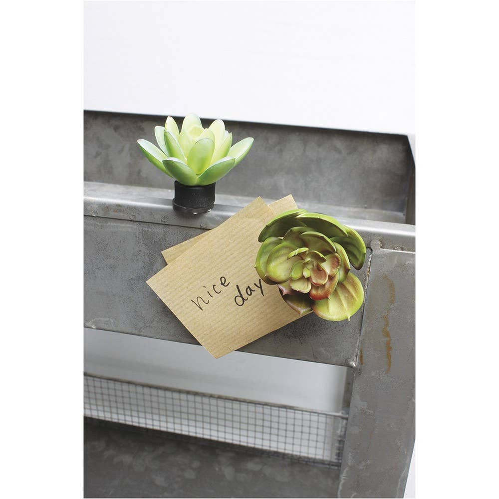 Botanical Magnet Cactus