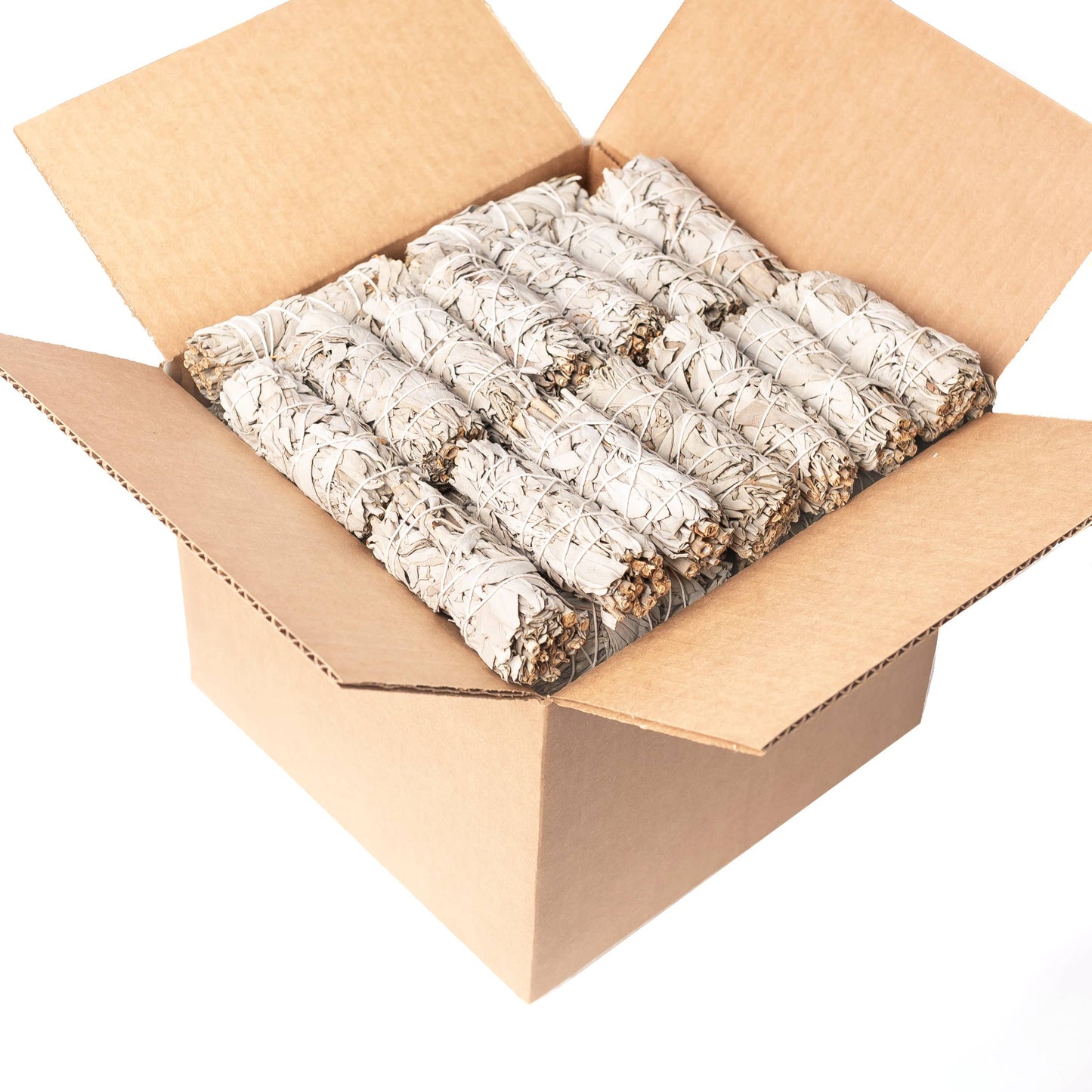 California White Sage (Salvia Apiana)