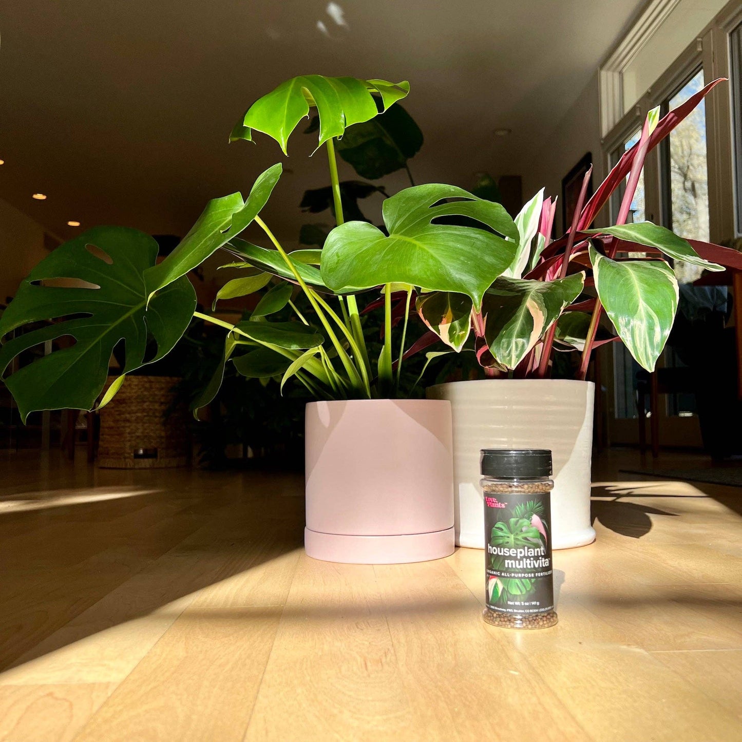 Houseplant Multivitamin - Houseplant Fertilizer