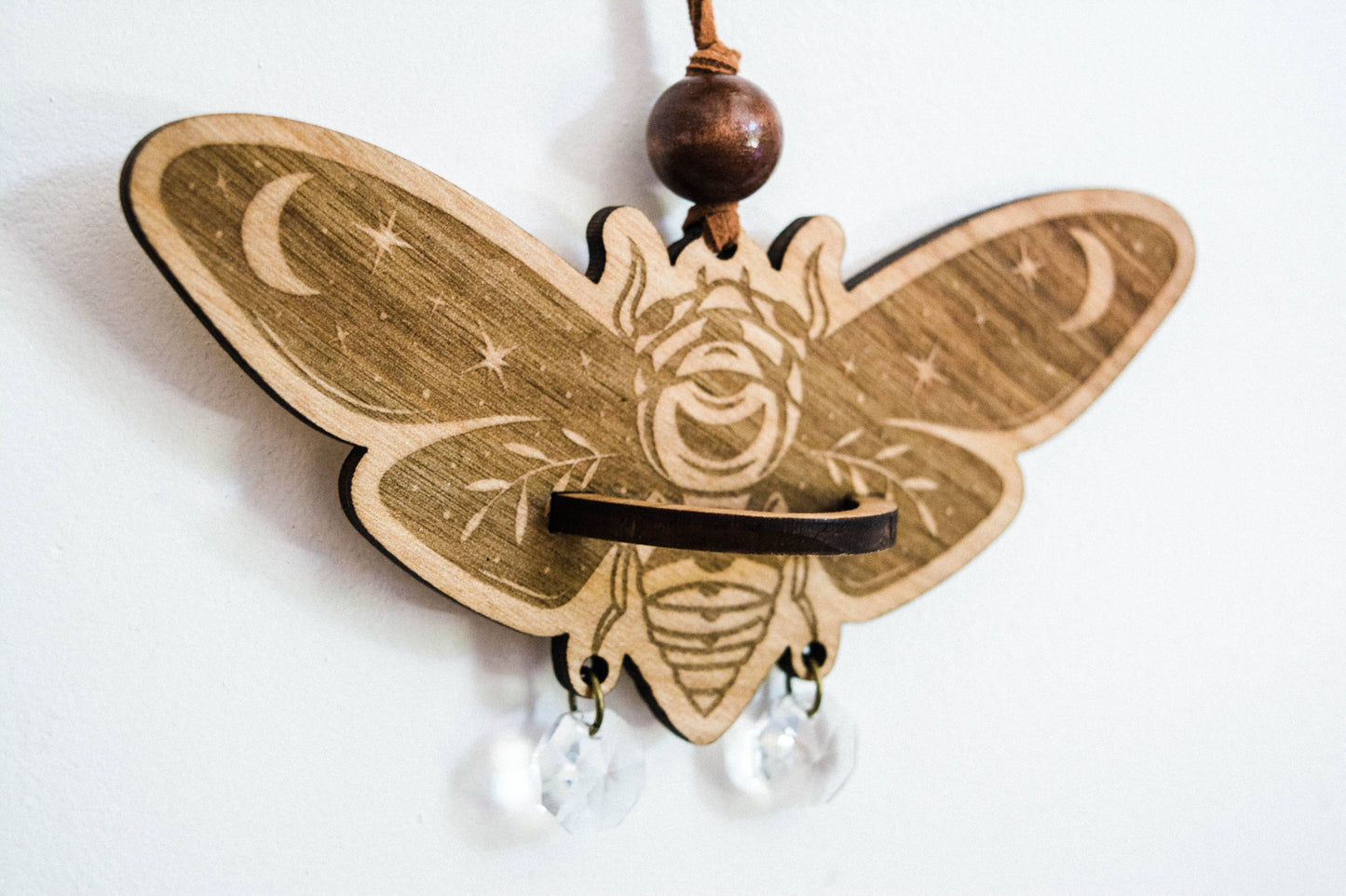 Cicada Airplant Holder Hanging Mini Suncatcher: Without Airplant / Stained Black