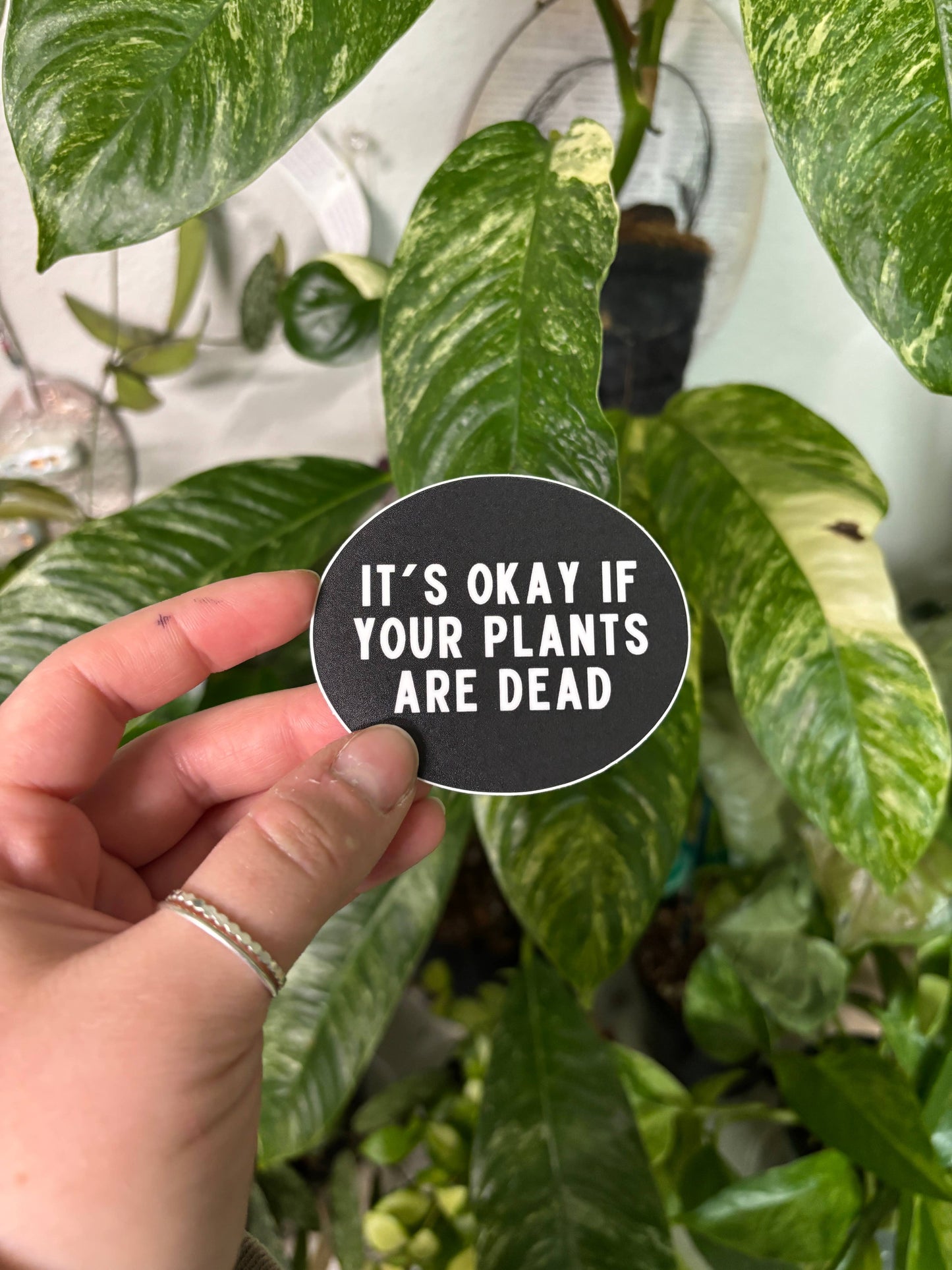Plant Care Sticker "It's Okay If Your Plants Are Dead"