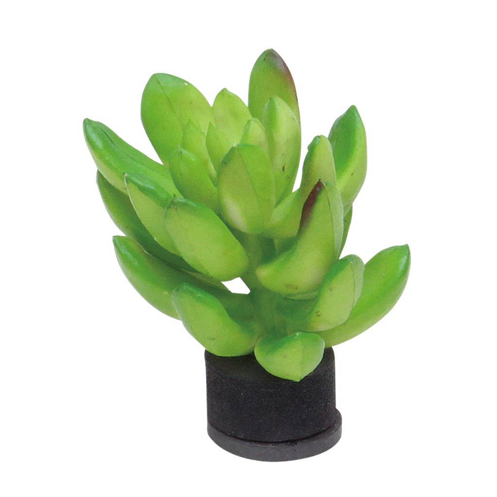 Botanical Magnet Cactus