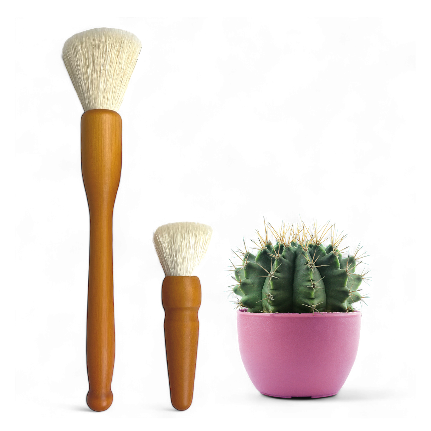 Cactus Dusting Brush - 2 pack