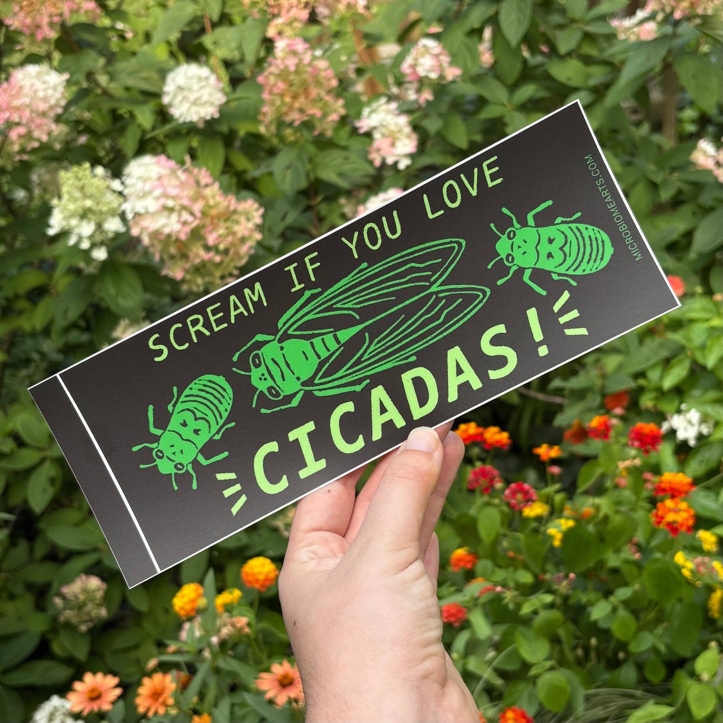 Scream If You Love Cicadas Bumper Sticker