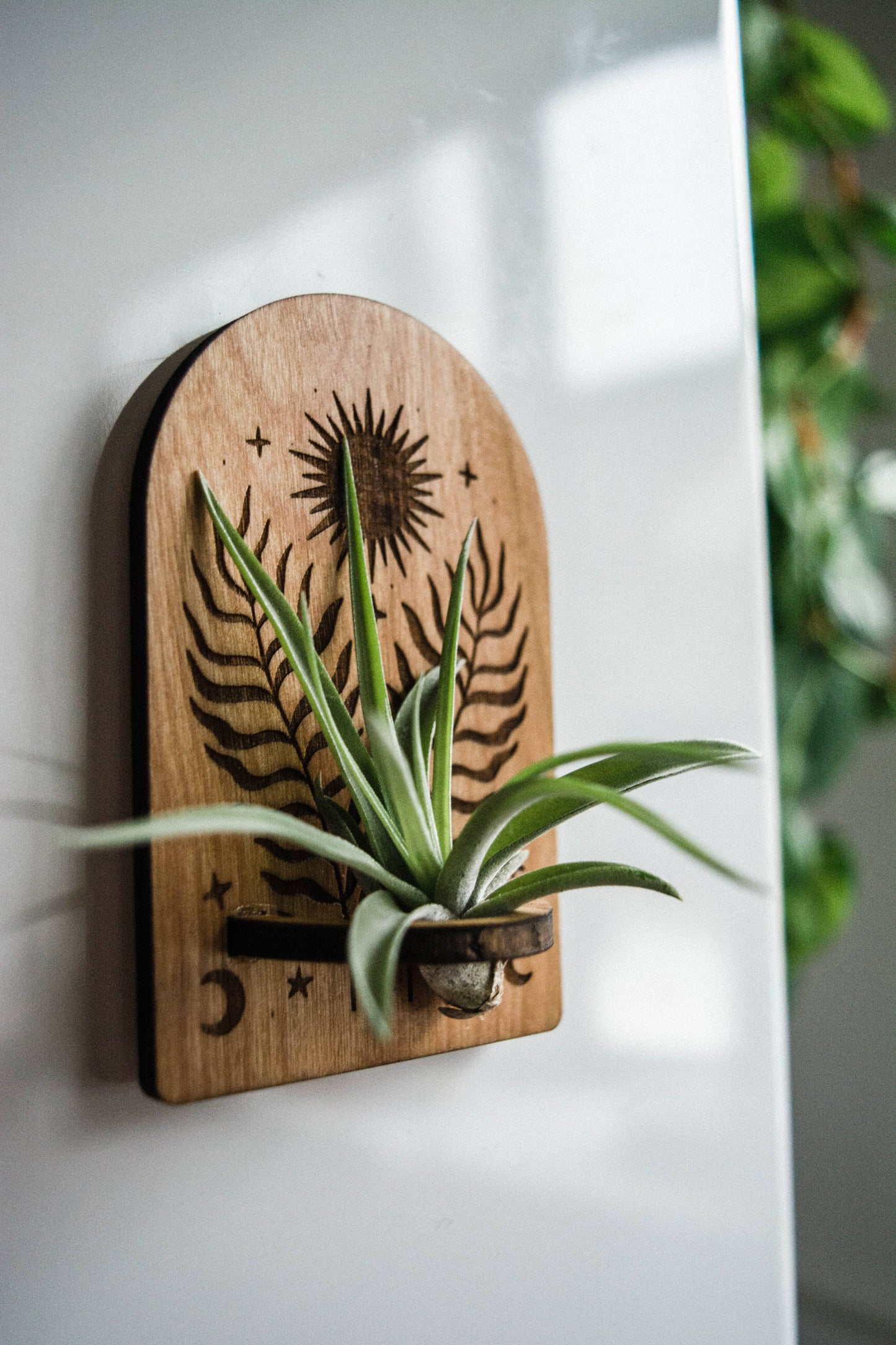 Sun, Moon, Stars & Ferns Wooden Airplant Holder Magnet: Without Airplant / Natural Wood