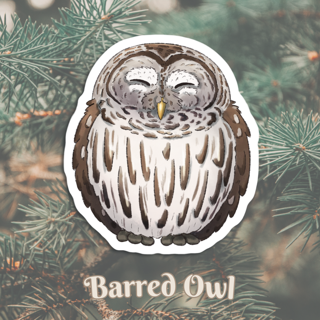 Chonky Barred Owl Sticker: 3 inch