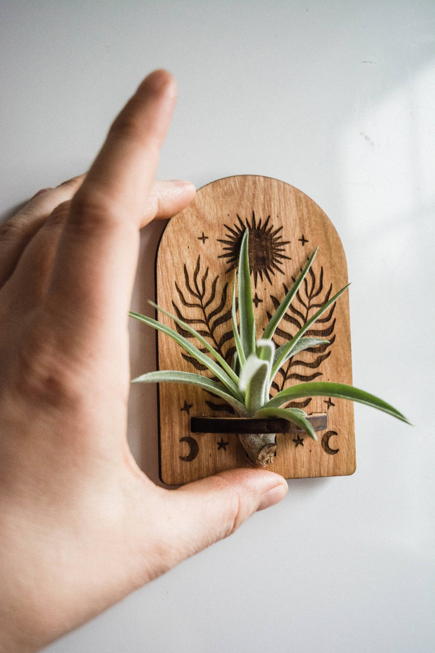 Sun, Moon, Stars & Ferns Wooden Airplant Holder Magnet: Without Airplant / Natural Wood