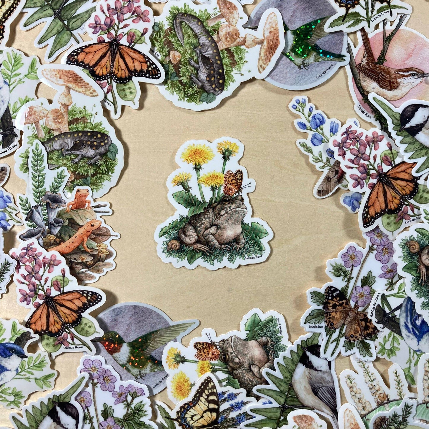 Vinyl Sticker - Fowler's Toad With Dandelions And Butterfly