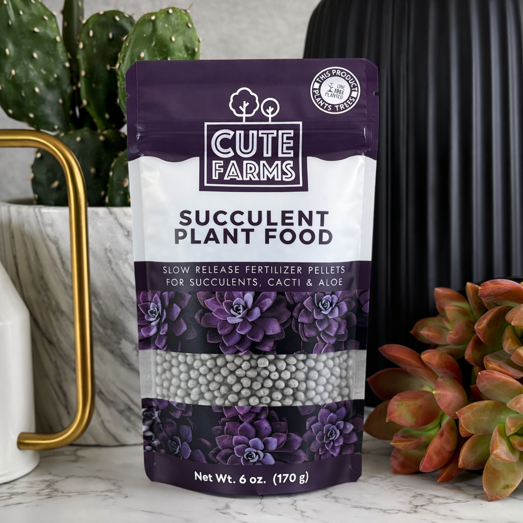 Succulent Slow Release Plant Food