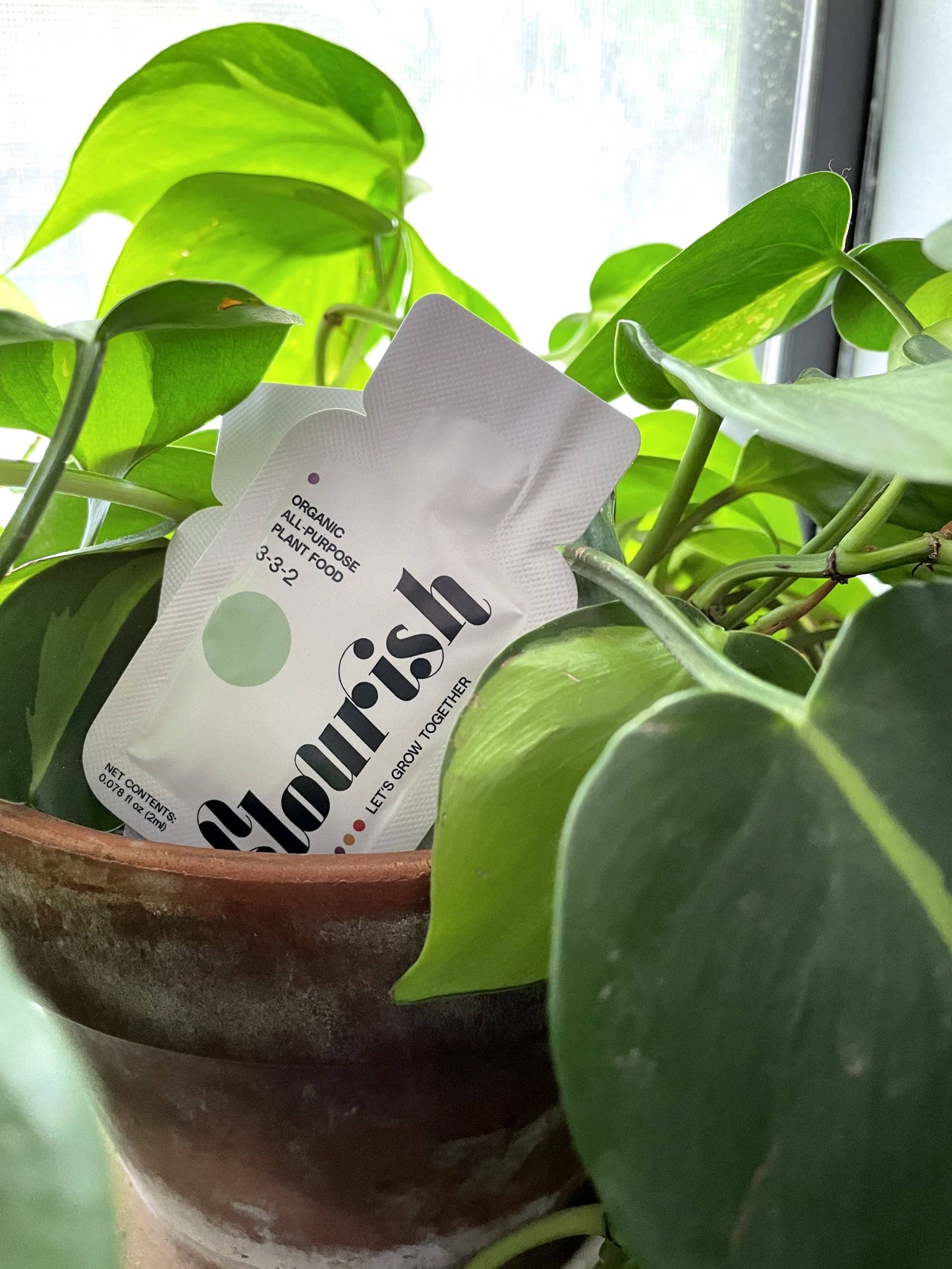 Flourish Organic Plant Food, Single Packet Fertilizer