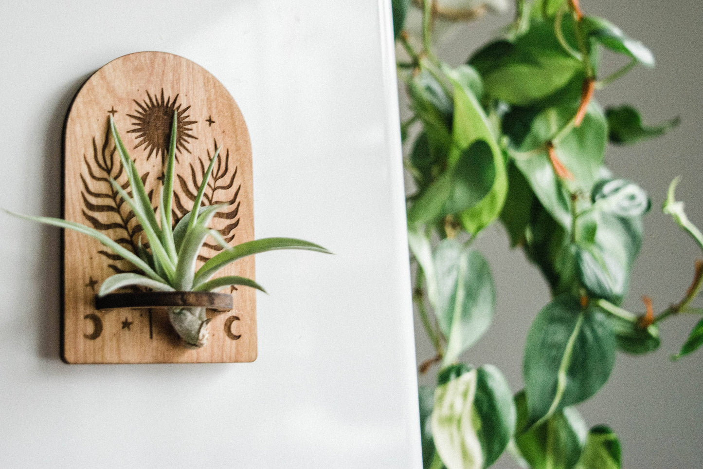 Sun, Moon, Stars & Ferns Wooden Airplant Holder Magnet: Without Airplant / Natural Wood
