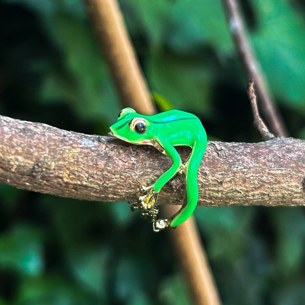 Frog Rings