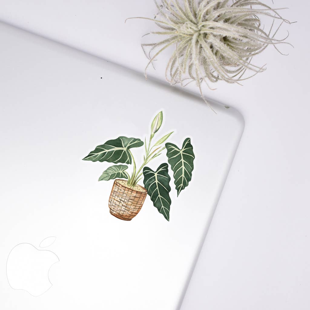 Alocasia Clear Sticker - House Plants Stickers