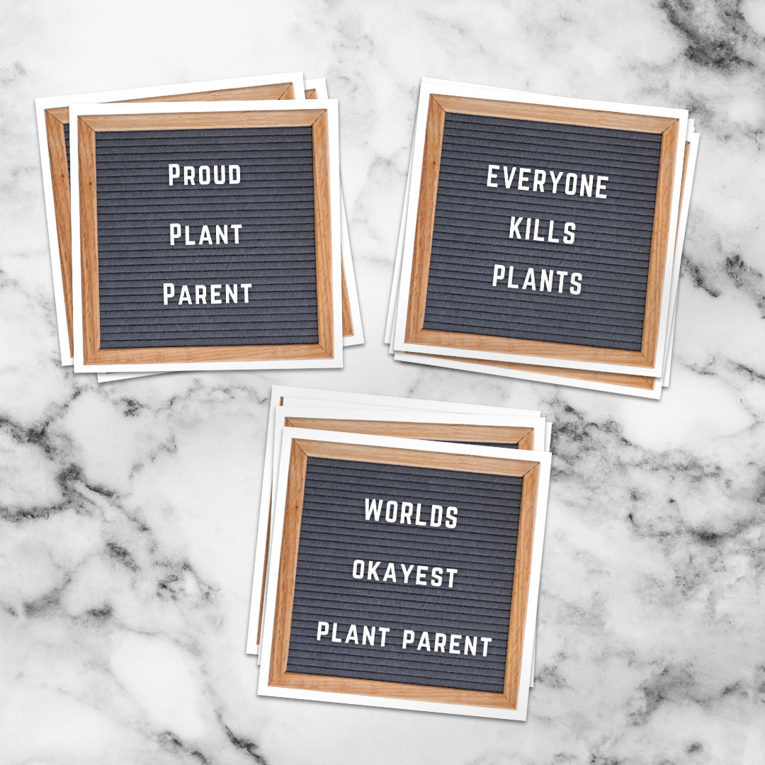 Worlds Okayest Plant Parent Felt Board Sticker