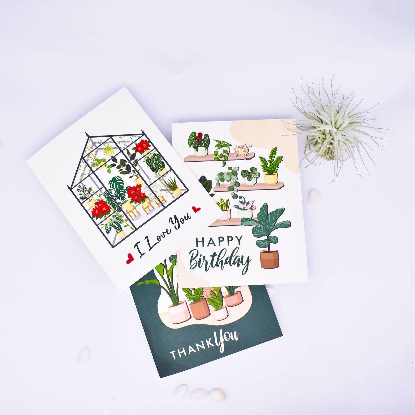 Birthday Greetings Card - Plant Lover Card