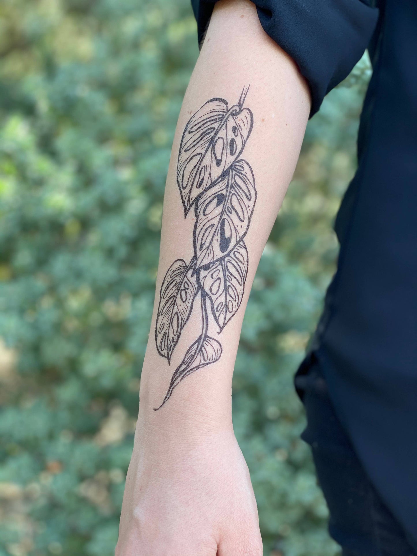 Monstera Vine Temporary Tattoo: 1-Pack