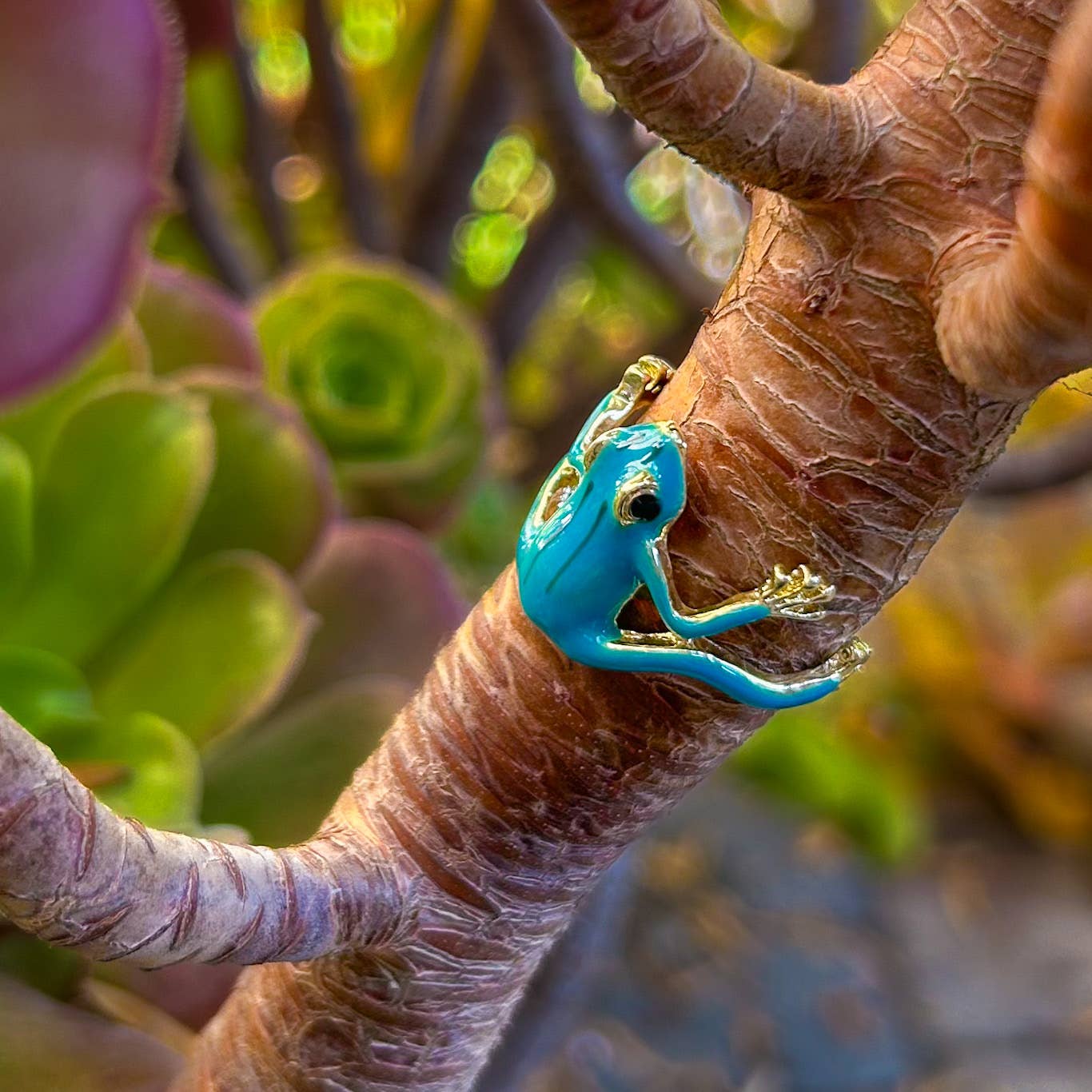Frog Rings