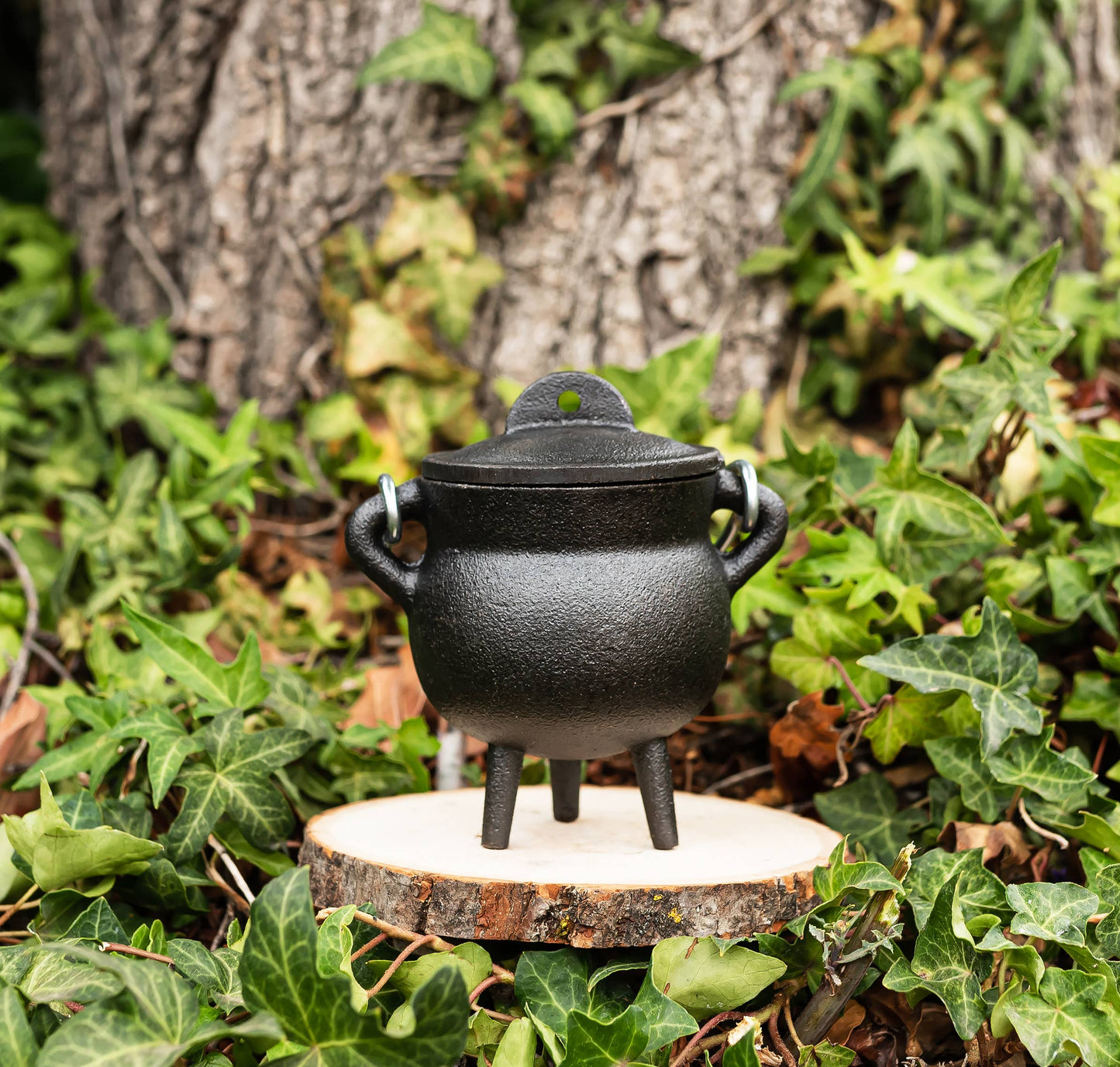 Cauldron 3.5" inch Plain Cast Iron Cauldron with Lid