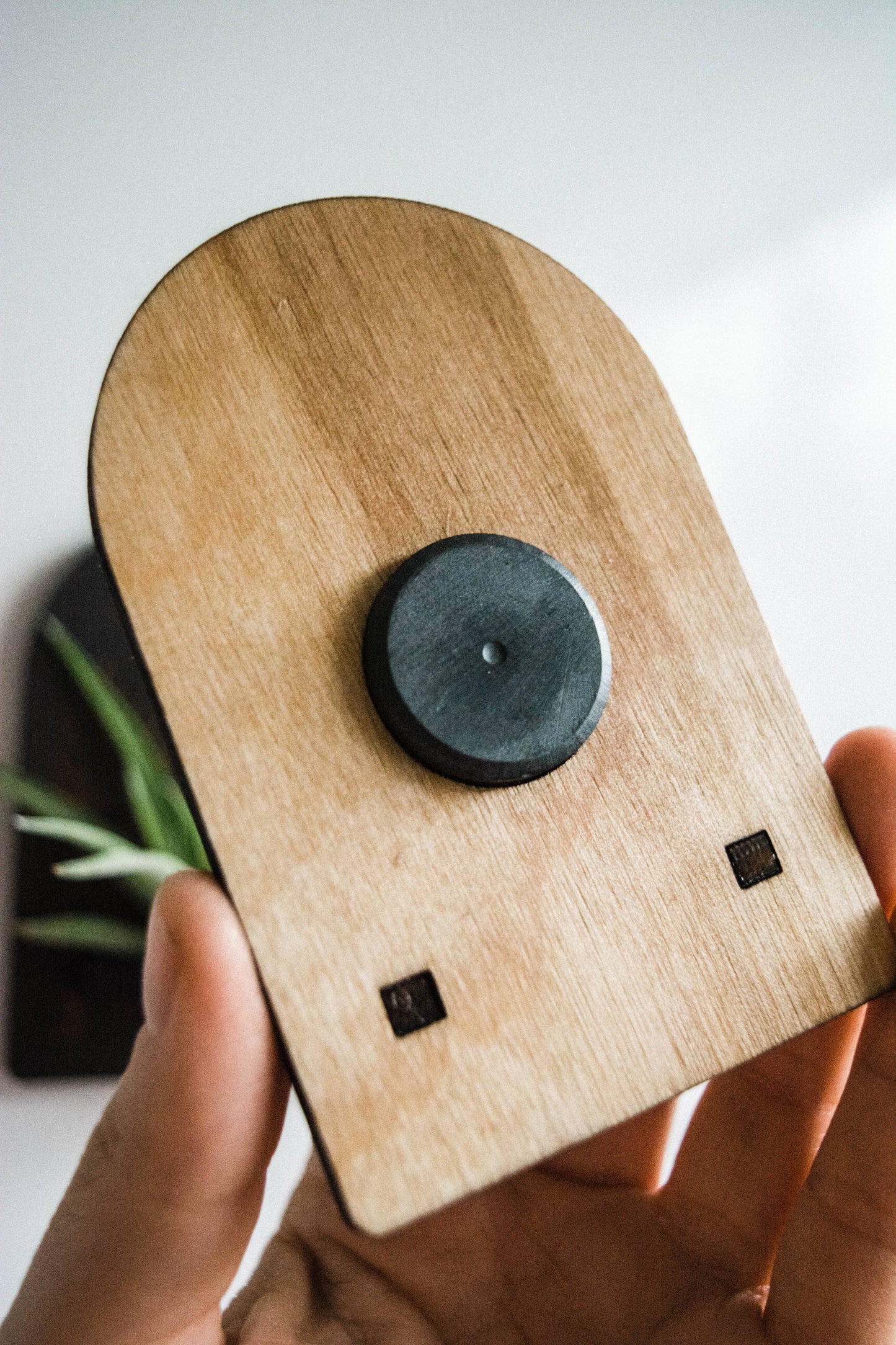 Sun, Moon, Stars & Ferns Wooden Airplant Holder Magnet: Without Airplant / Natural Wood
