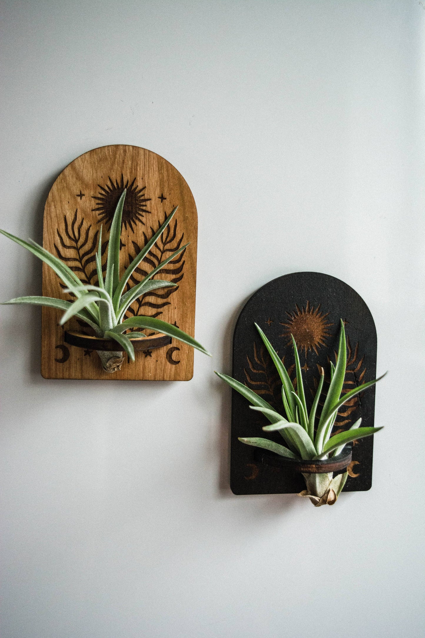 Sun, Moon, Stars & Ferns Wooden Airplant Holder Magnet: Without Airplant / Natural Wood
