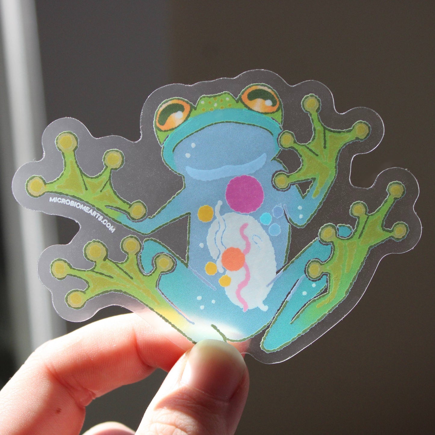 Transparent Glass Frog 3” Sticker