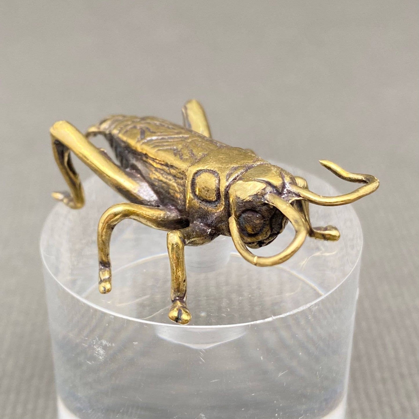 Brass Cricket Crafts Desktop Ornaments Decoration