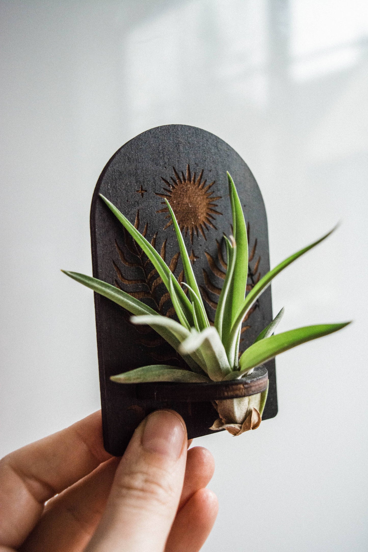 Sun, Moon, Stars & Ferns Wooden Airplant Holder Magnet: Without Airplant / Natural Wood