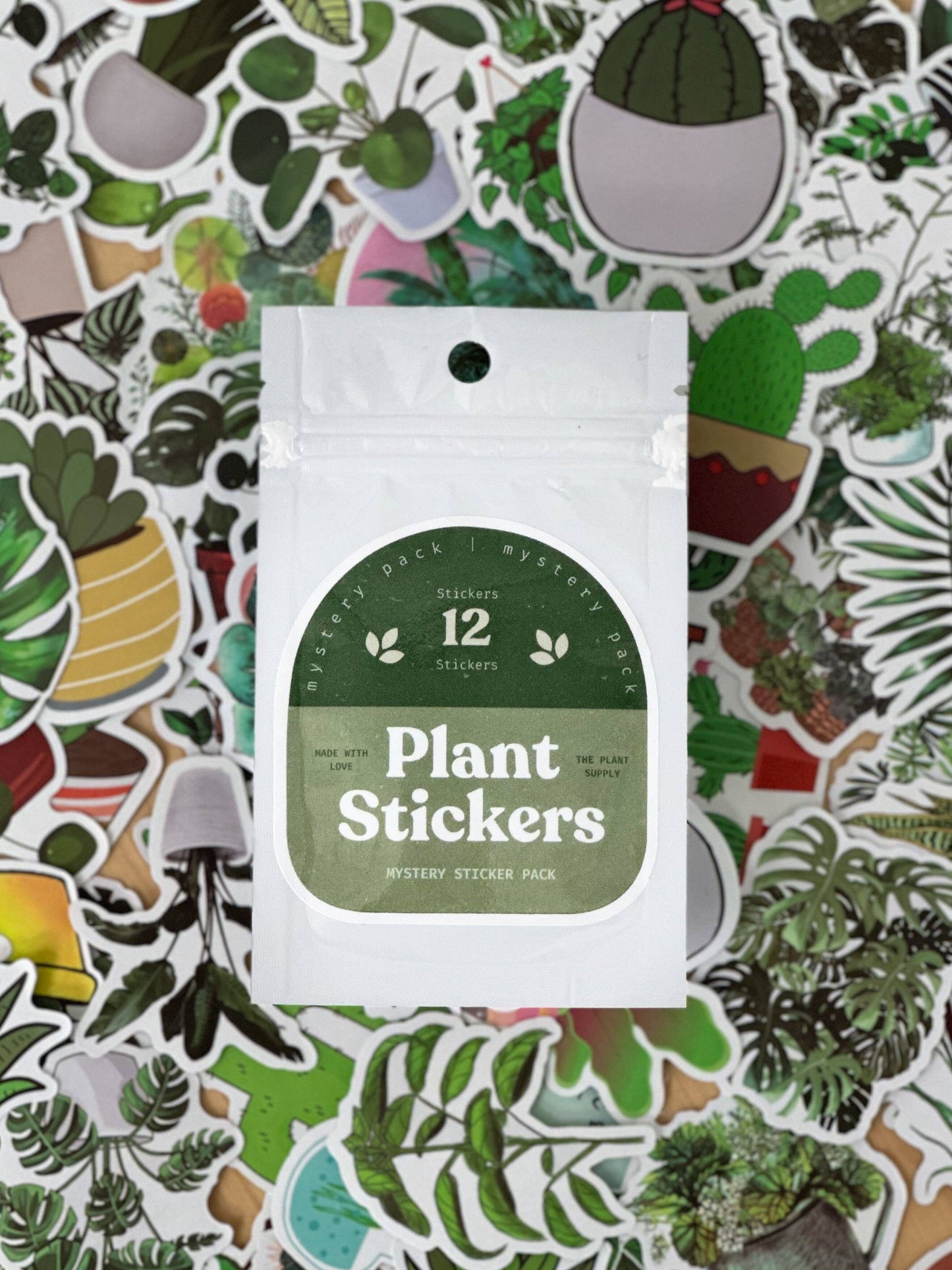 Plant Sticker Pack | Houseplant Sticker Mystery Pack