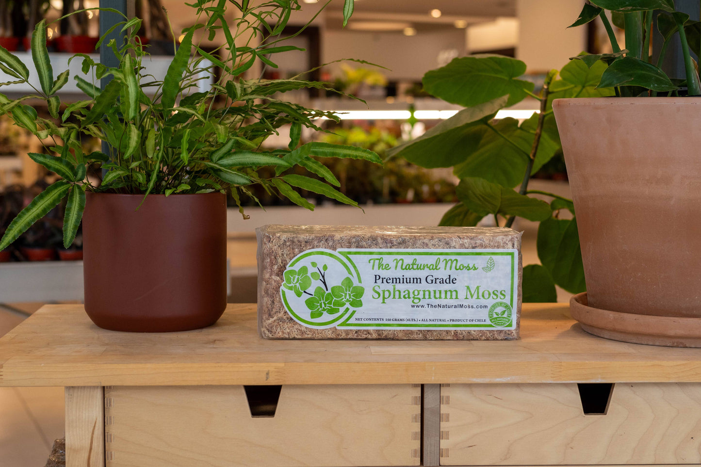 Sphagnum Moss