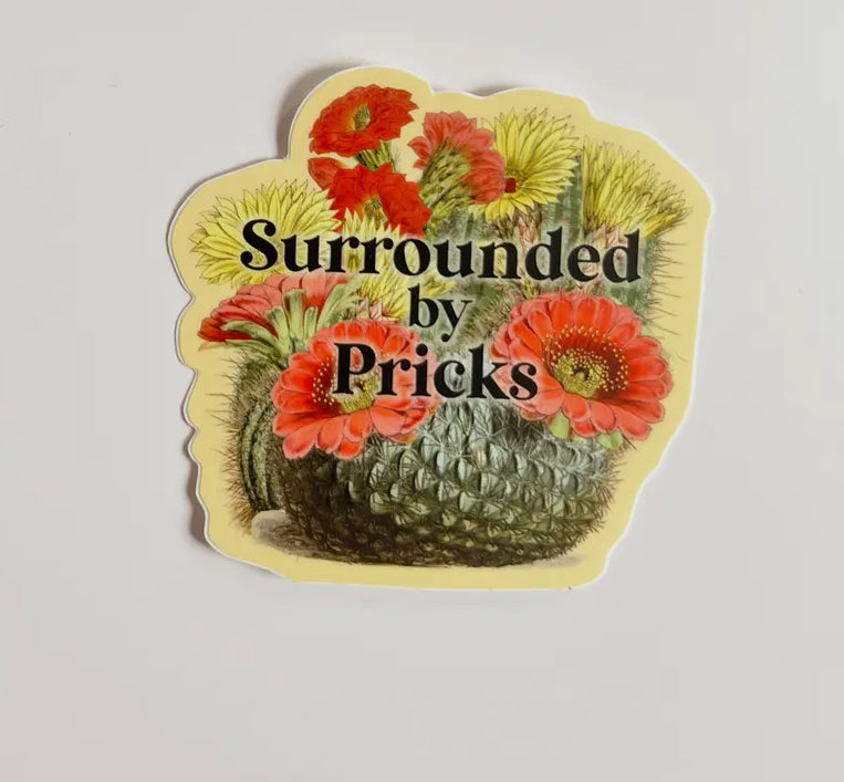 The Coin Laundry Stickers & Cards
