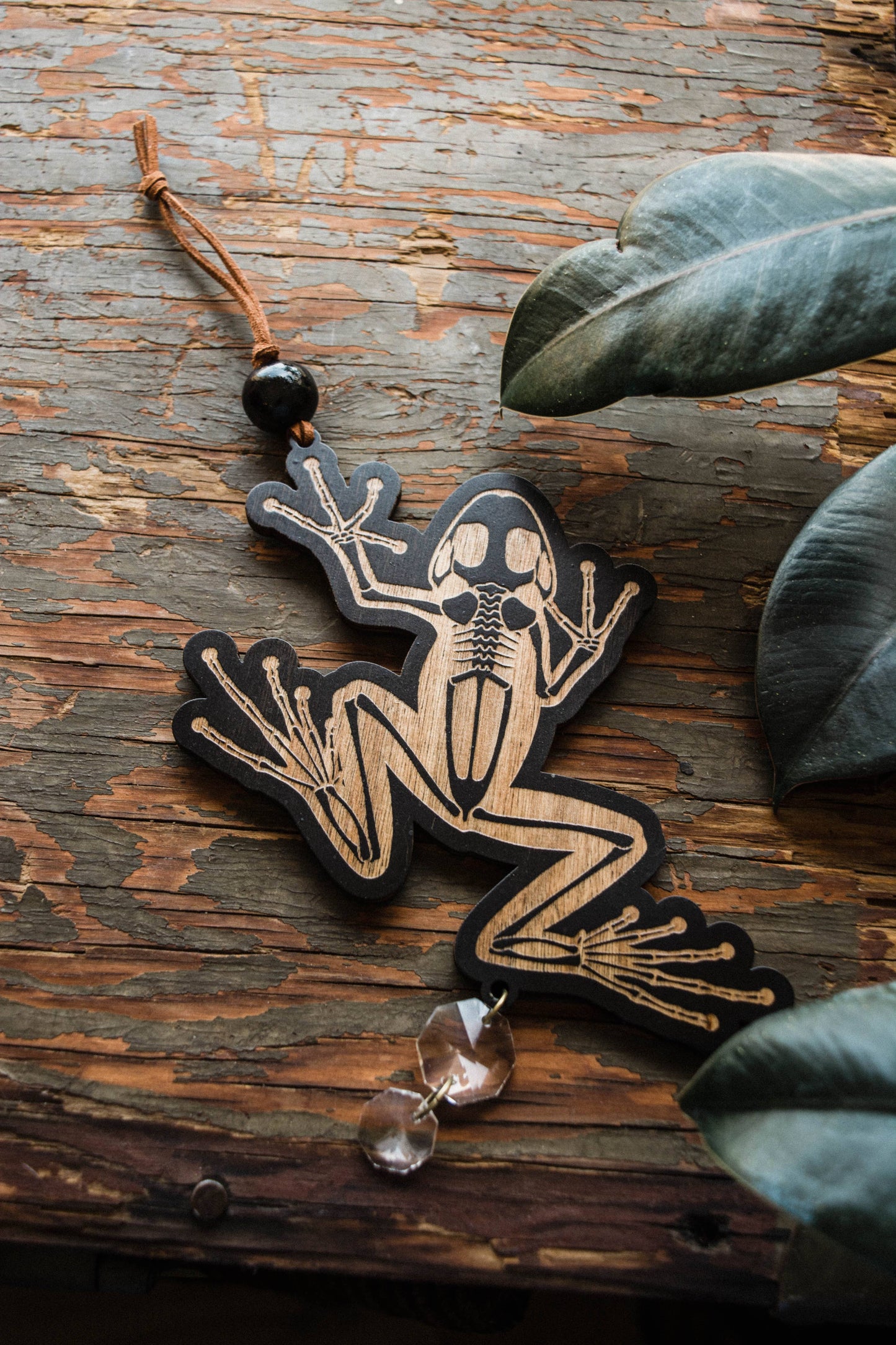 Black Frog Skeleton Wooden Ornament Wall Hanging Suncatcher