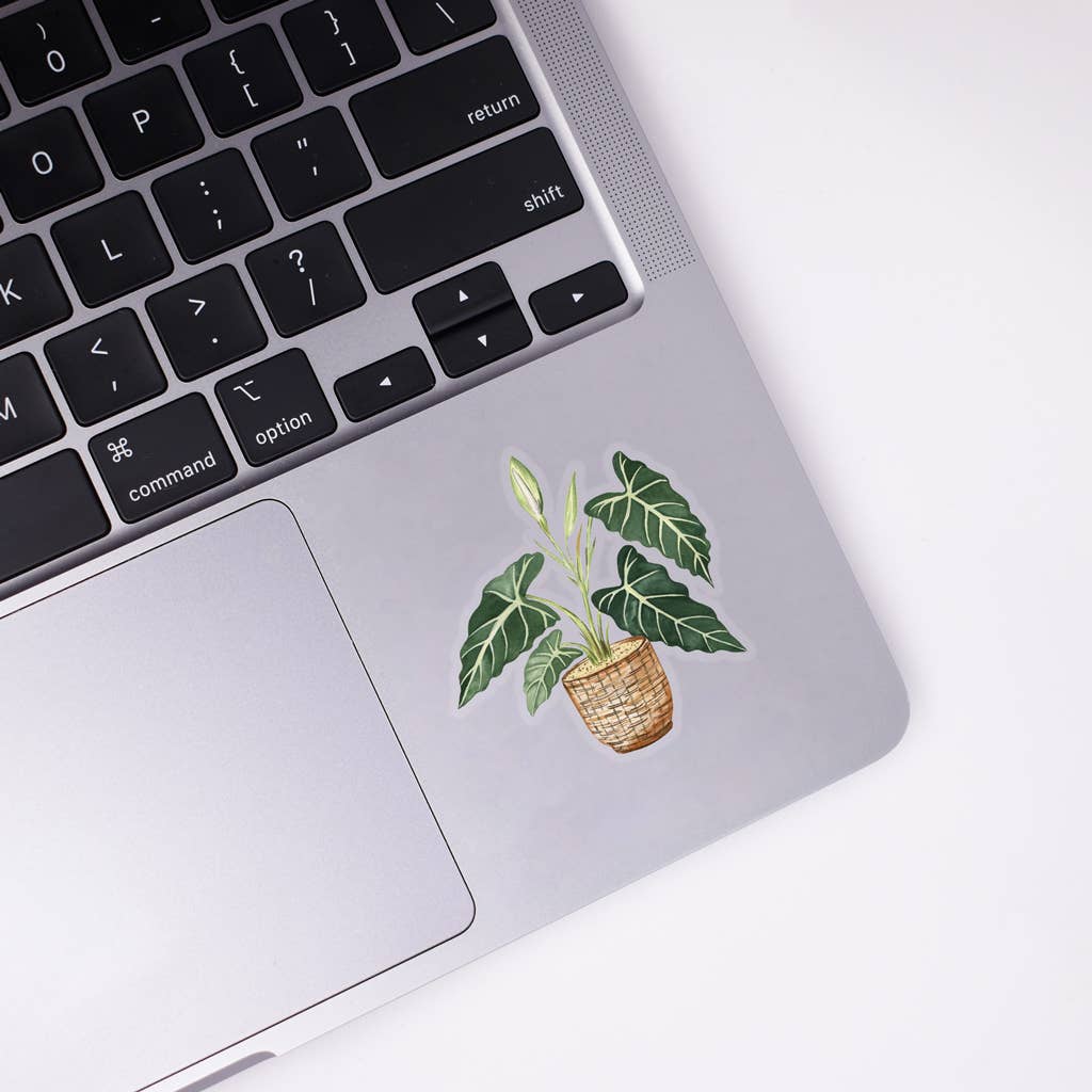 Alocasia Clear Sticker - House Plants Stickers