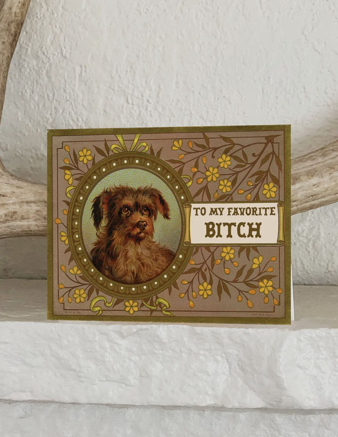The Coin Laundry Stickers & Cards