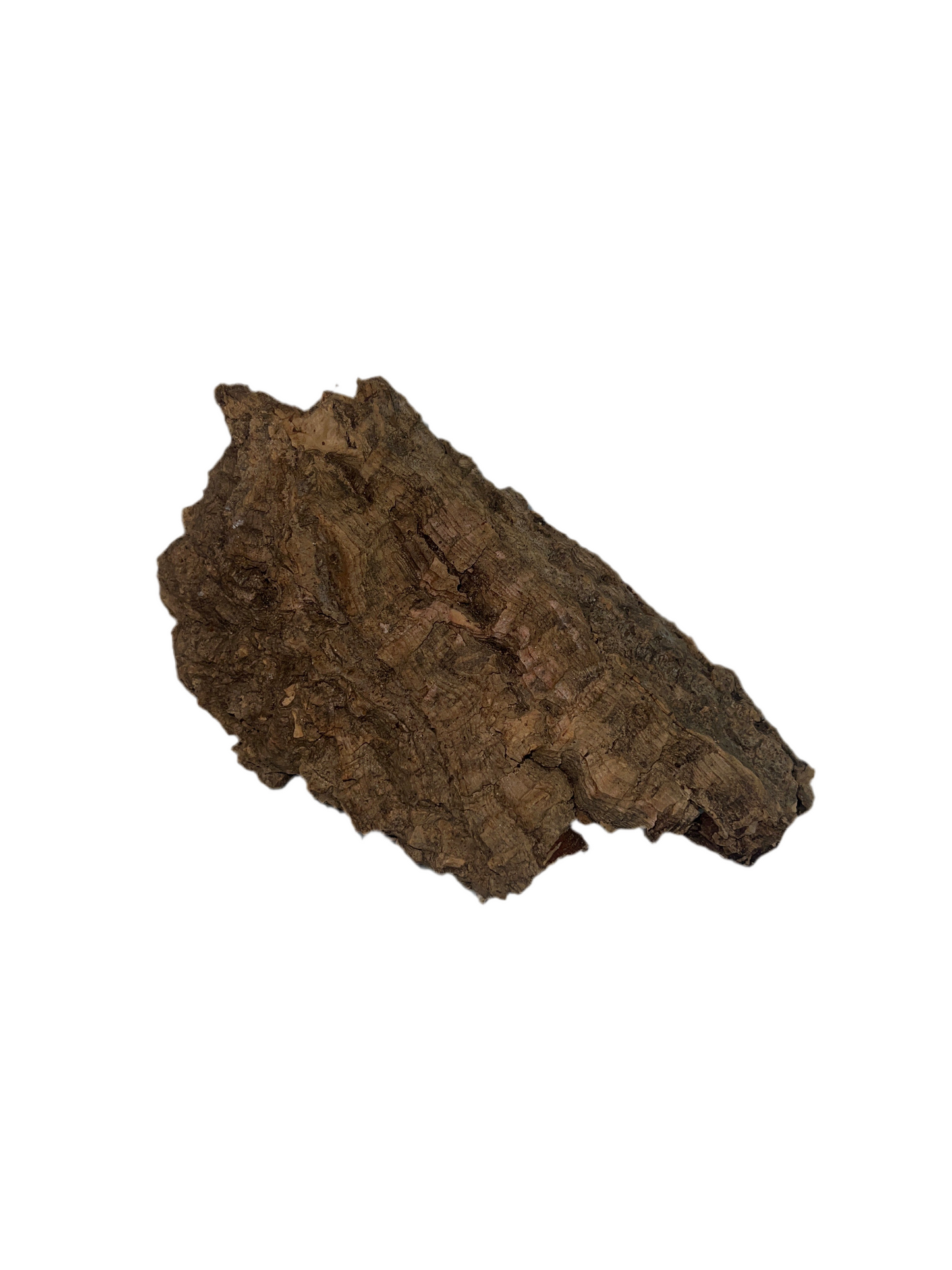 Small Cork Bark Flat 6”-10”