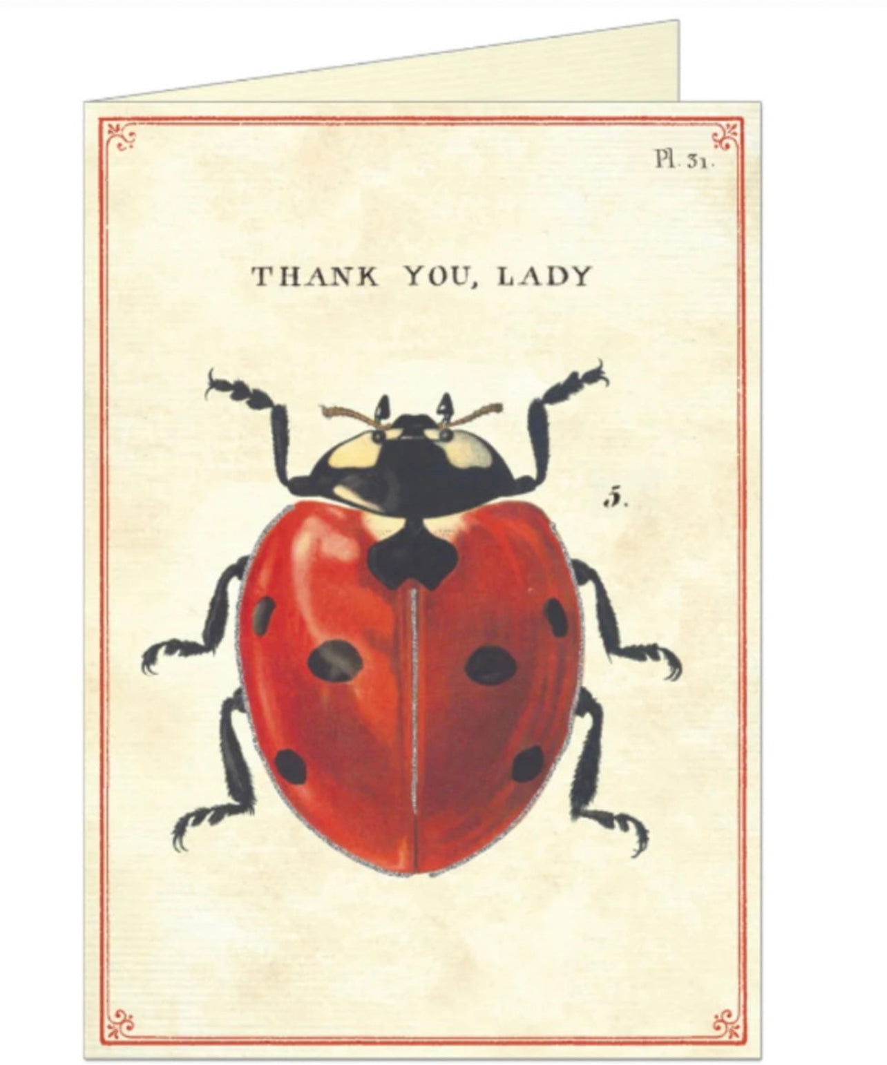 Thank You Lady Single Greeting Card/Envelope