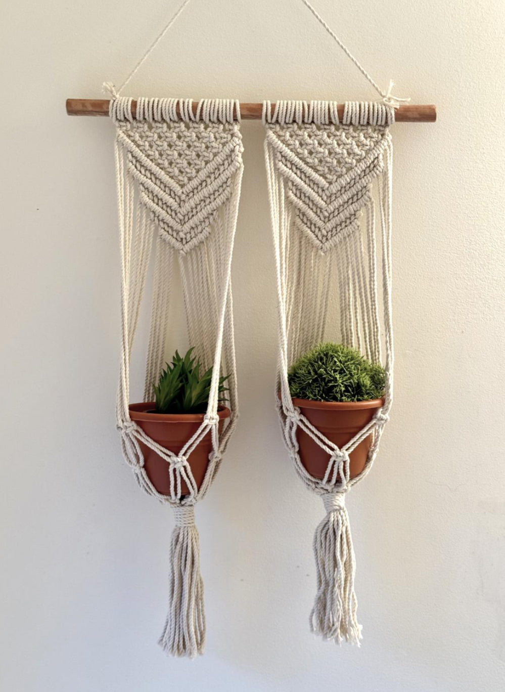 Double Pot and Wall Hanger