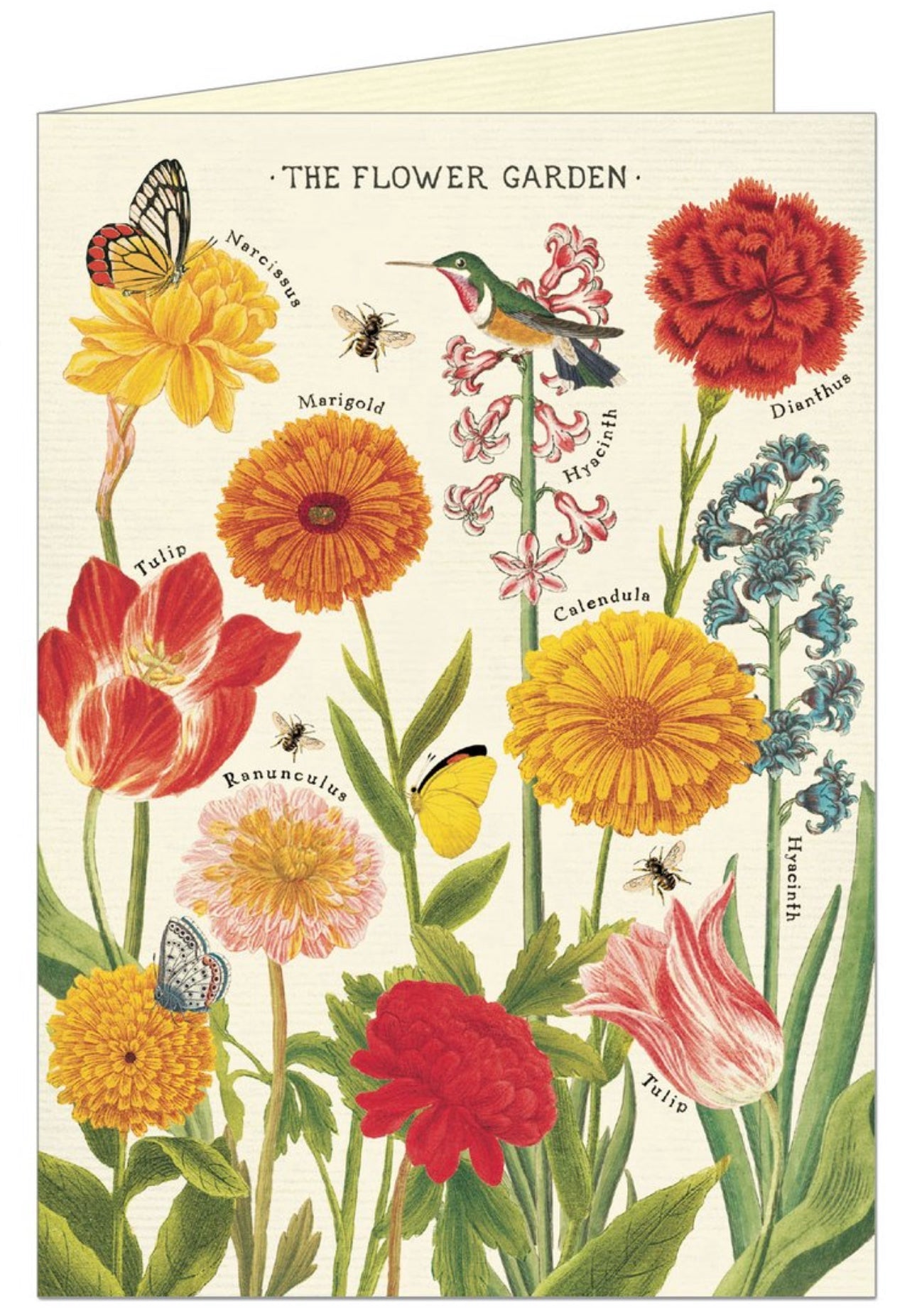 Flower Garden Single Greeting Card/Envelope