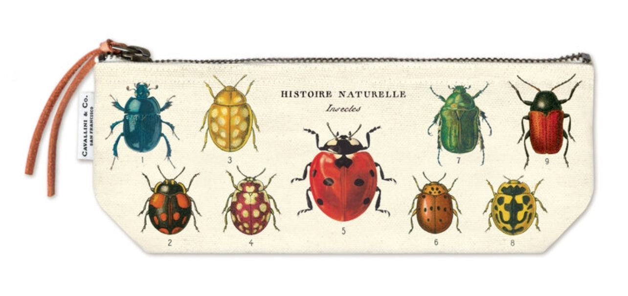 Cavallini & Co