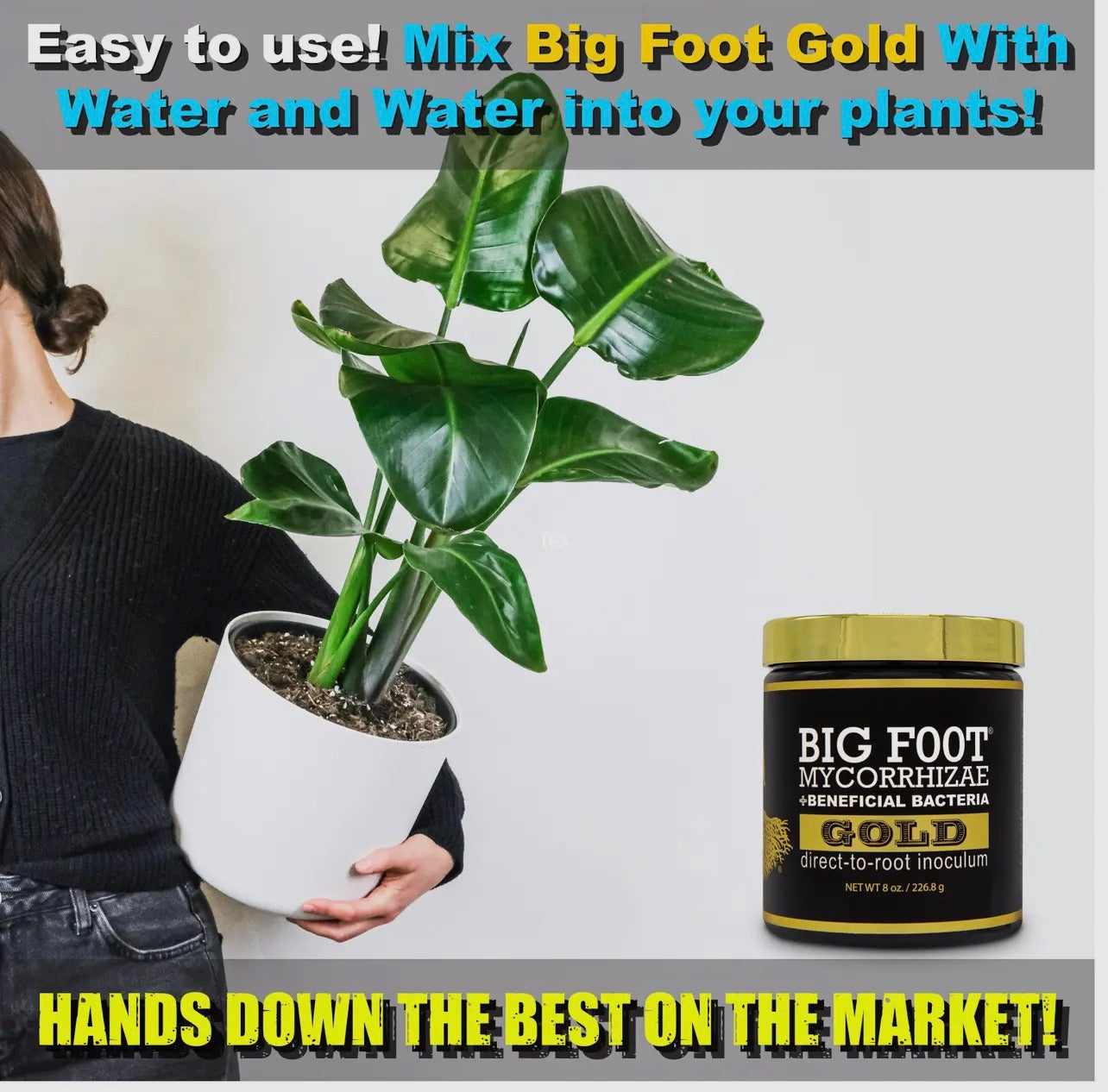 Big foot mycorrhizal fungi with beneficial bacteria