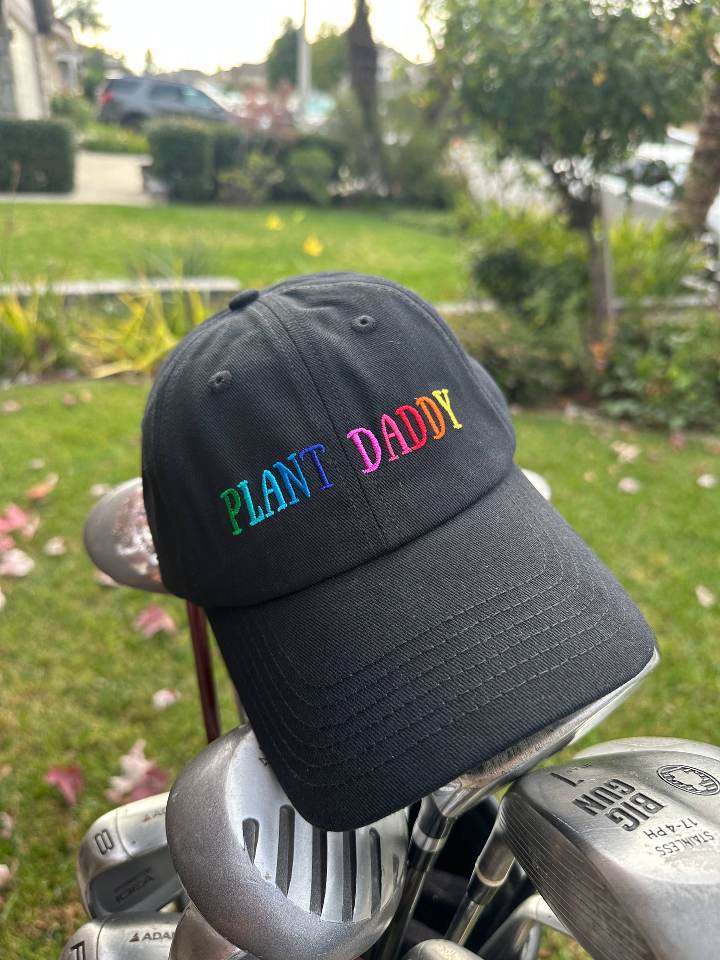 Plant Daddy Hat Black